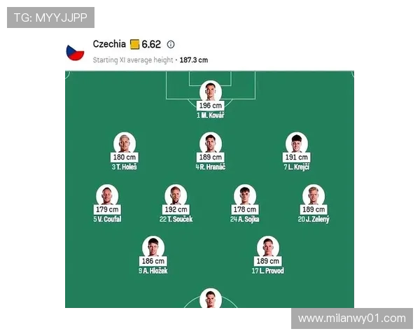 捷克南非世界杯比赛中关键数据指标对比及赛场表现总结